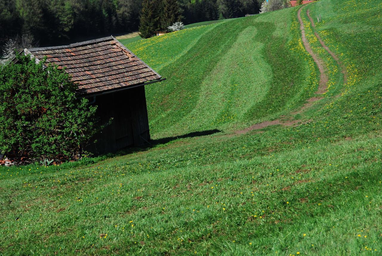 Landhaus Elke Reith bei Seefeld Bagian luar foto